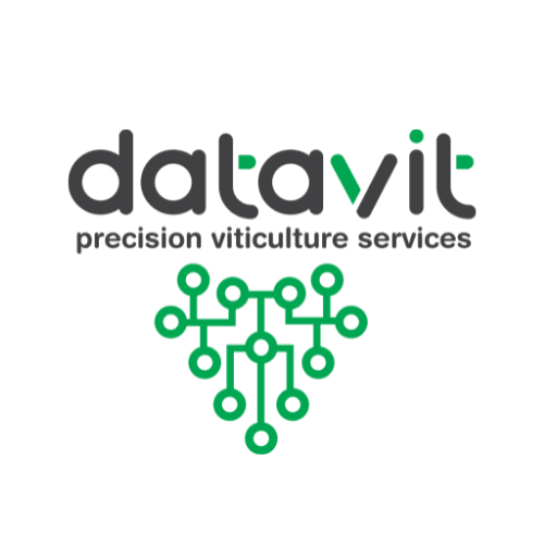 Datavit Logo